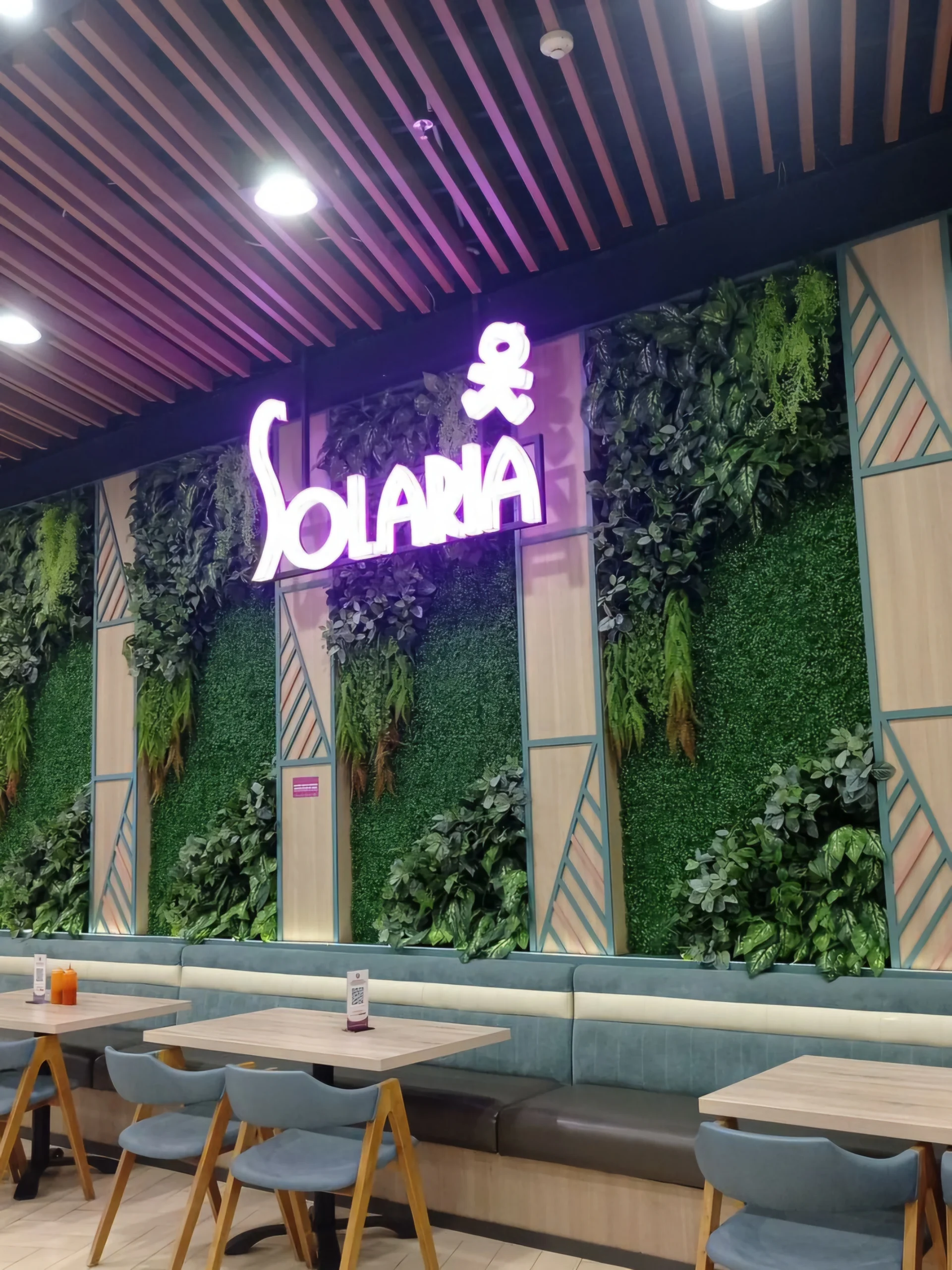 franchise solaria